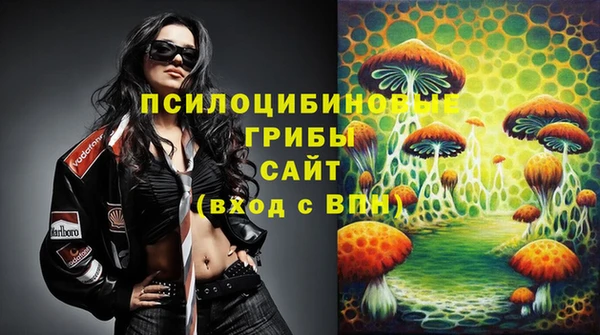 ГАЛЛЮЦИНОГЕННЫЕ ГРИБЫ Карабаш